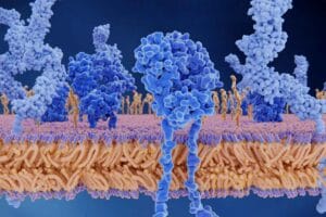 Is Peptide Therapy a Miracle Cure?