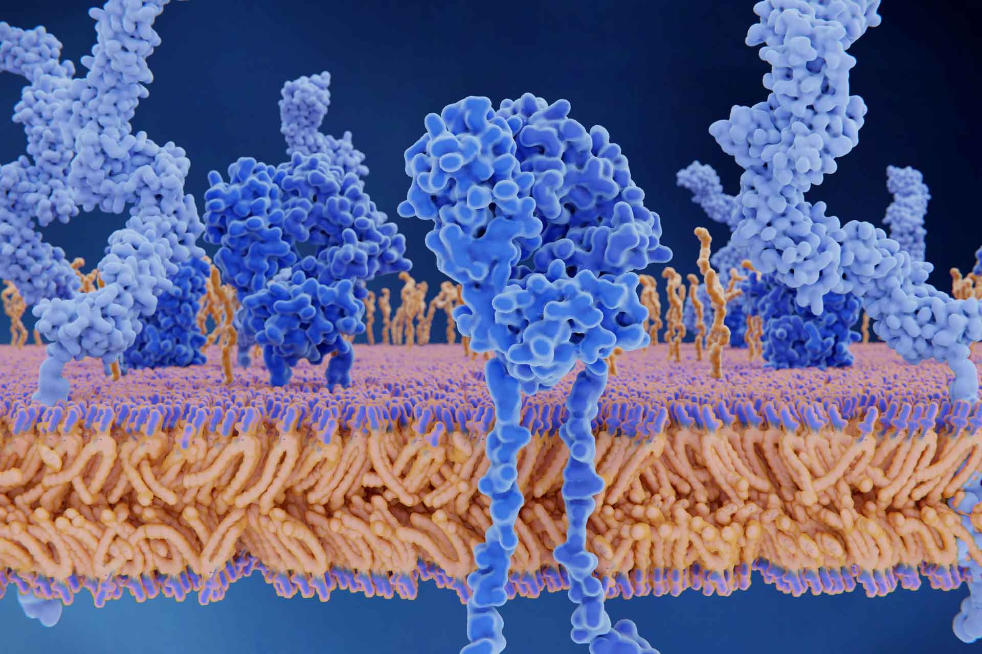 Is Peptide Therapy a Miracle Cure?